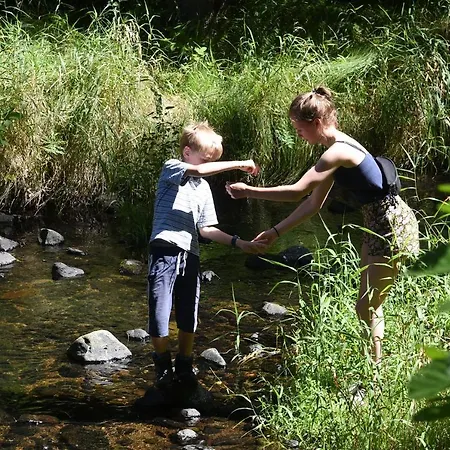 Gruensteinhof - Rotstein *