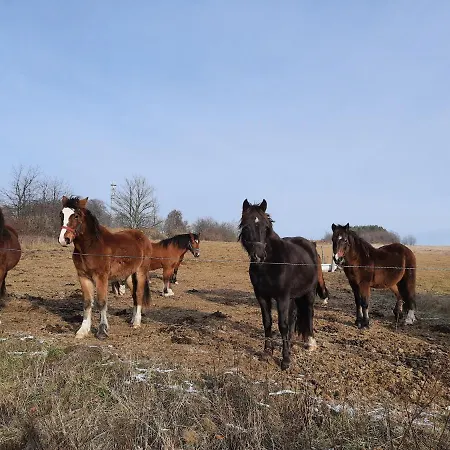 Gruensteinhof - Rotstein Apartmán