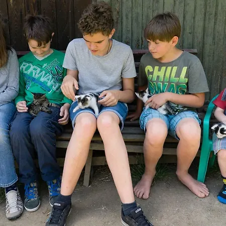 Gruensteinhof - Rotstein Ebersbach-Neugersdorf