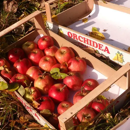 Gruensteinhof - Rotstein Apartmán *