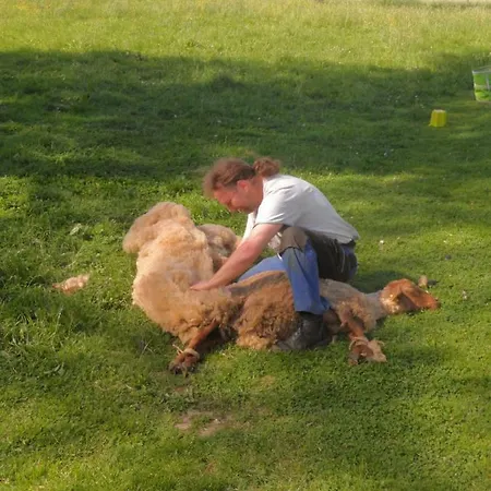 Gruensteinhof - Rotstein