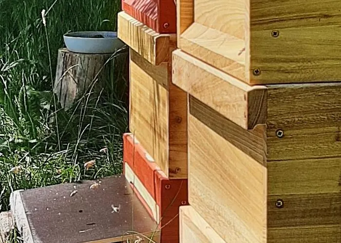 Gruensteinhof - Rotstein Appartement Ebersbach-Neugersdorf