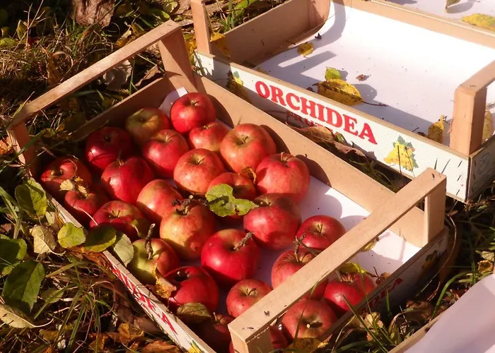 Gruensteinhof - Rotstein Appartement *
