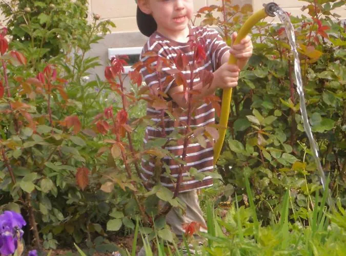 Appartement Gruensteinhof - Rotstein