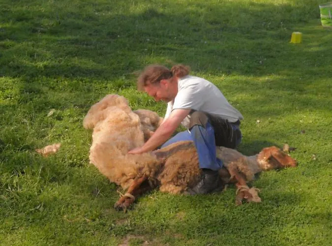 Gruensteinhof - Rotstein